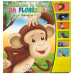 Macaco: Col. Conhecendo os sons da floresta