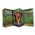 Animais - Livro pop-up rimas