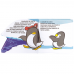 Pinguim: Col. Amiguinhos do mar II
