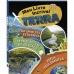 Terra - Meu livro incrível