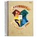 Caderno capa dura universitário 1x1 96 fls Harry Potter