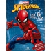 Spider-man: Ler & brincar - 4 quebra cabeças para montar e se divertir!