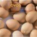 Ovos - Receitas versáteis com aroma e sabor