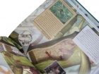 Florestas tropicais: Col. Navegando na leitura