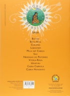 Iara: Col. Lendas brasileiras - Turma da Mônica