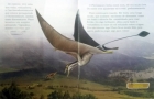 Pterossauro: Dinossauros - Livro ilustrado com miniatura articulada