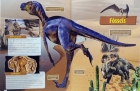 Velociraptor: Dinossauros - Livro ilustrado com miniatura articulada
