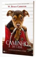A caminho de casa