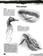 Guia curso de desenho - Animais marinhos