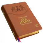 Bíblia Sagrada Ave-Maria - Edição de estudos