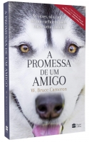 A promessa de um amigo