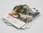 Dungeons & Dragons: Starter Set - Kit Introdutório