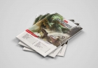 Dungeons & Dragons: Dungeon Masters Screen - Escudo do mestre