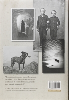 Cidade dos Etéreos: Livro ll - Série O lar da Srta. Peregrine para crianças peculiares