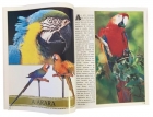 Mundo animal - Mais de 250 fotos