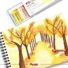 Giz de cera pastel oleoso PHN 25 cores - Pentel