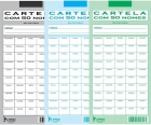 Cartela para rifa com 50 nomes 105x208mm avulsa